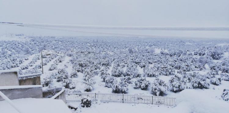 Preciosa imagen de Cuevas del Campo.