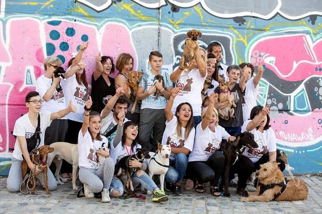 Cúllar Vega acoge este sábado una jornada de adopción animal.