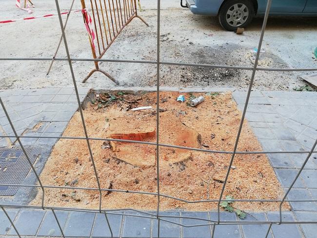 Árbol cortado en la Avenida de Barcelona.