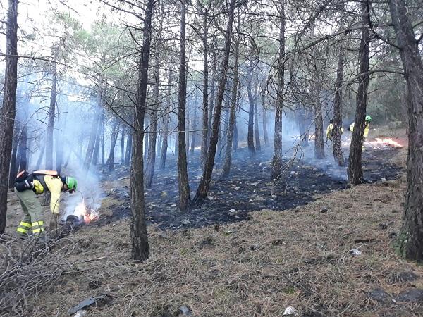 Bomberos del Infoca trabajando en la extinción.