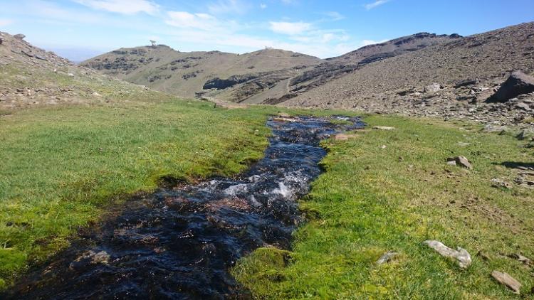 Borreguiles y uno de los arroyos que dan origen al río Dílar. 