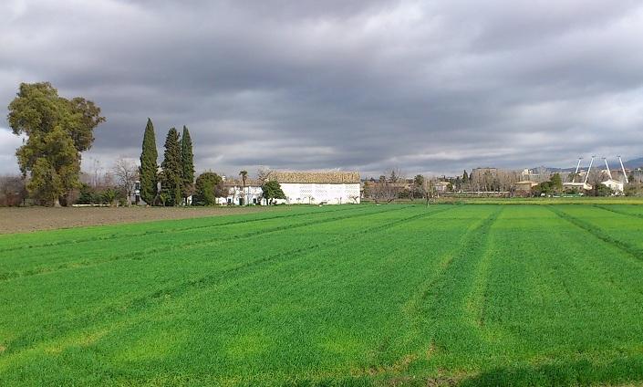 Vista de la Vega de Granada