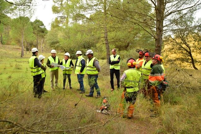 Visita a los trabajos selvícolas en Sierra de la Almijara.