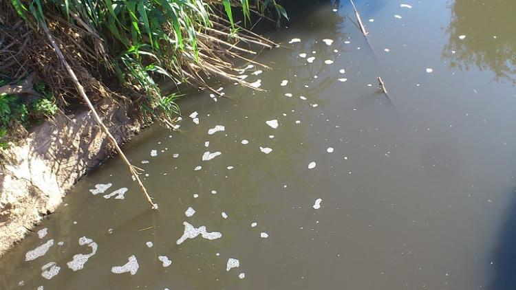 Agua turbia y con restos de espuma de la acequia de la Madre Maestra, que vierte a la Laguna de Padul desde el pueblo.