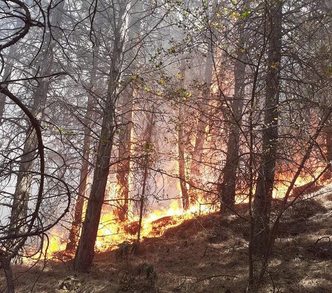 Imagen del incendio en Dúrcal.