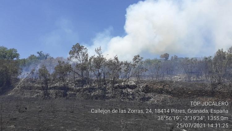 Zona afectada por las llamas. 