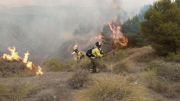 Bomberos actúan en el incendio de Caniles.