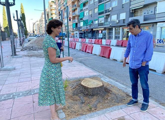 Cabrerizo y Cambril, junto a uno de los árboles talados. 