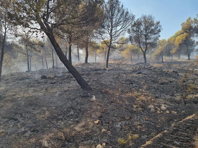 Zona afectada por el incendio de Los Guájares.