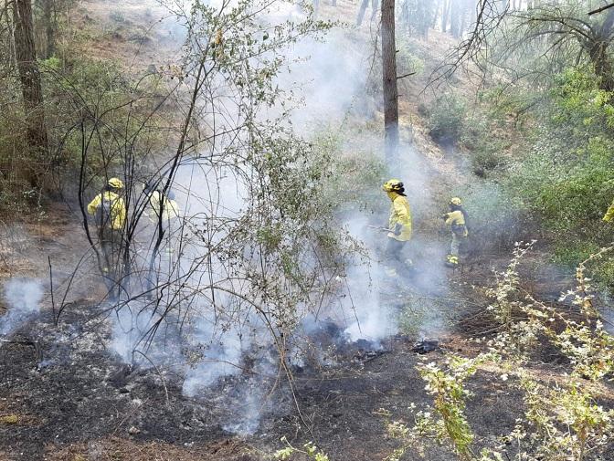 Bomberos atajan el fuego en la Sierra de Huétor