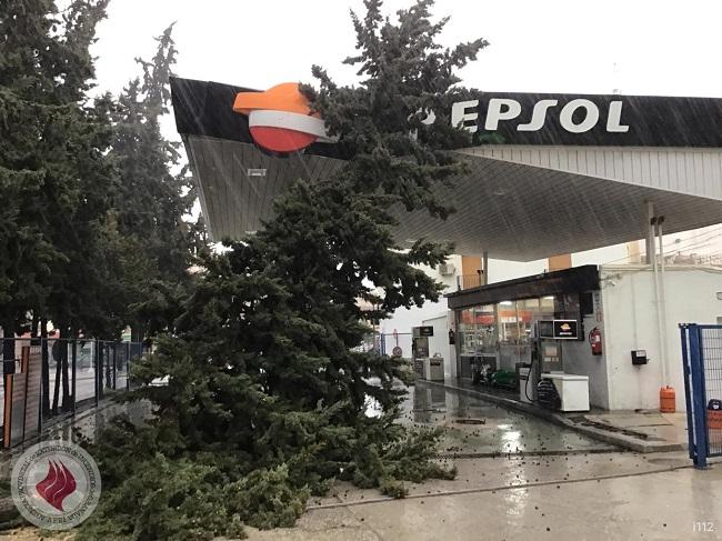 Un árbol caído en una gasolinera en Alhama este sábado.