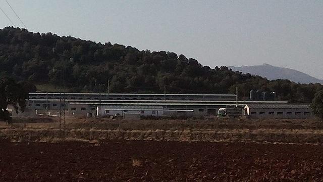 Instalación porcina en Castilléjar, al noreste de la provincia. 