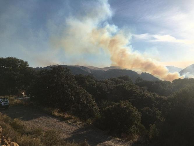 Imagen del incendio en Juviles. 