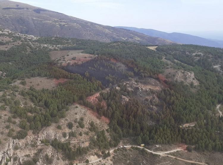 En el centro de la imagen se aprecia la zona calcinada por el fuego. 