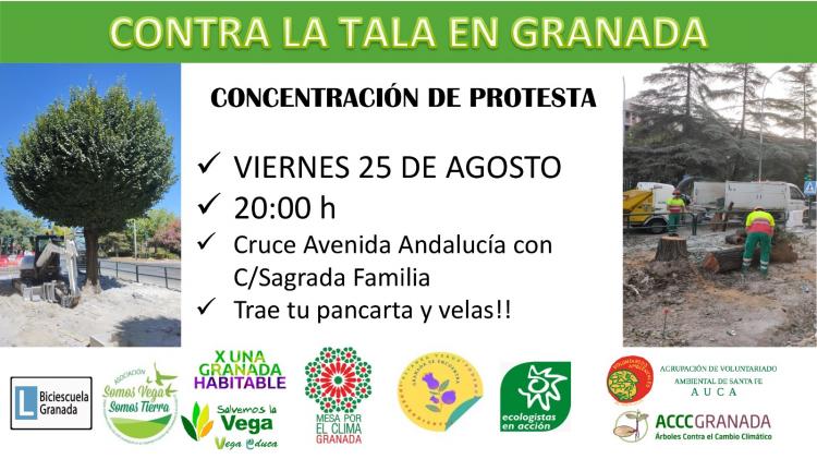 Cartel de la convocatoria.