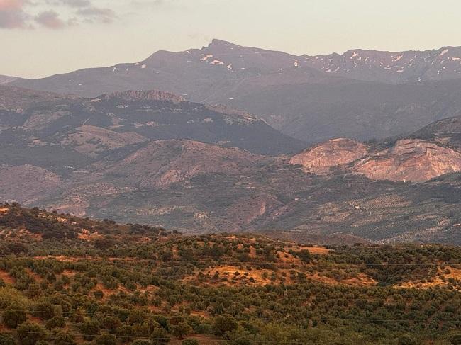 Entorno en el que estaban proyectadas las plantas.
