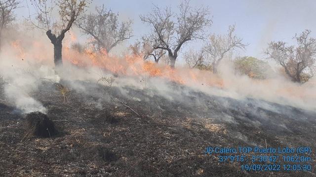 Las llamas del incendio, antes de quedar controlado. 