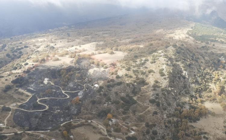 Zona quemada por el fuego, salpicada por las construcciones y monumentos del centro budista.