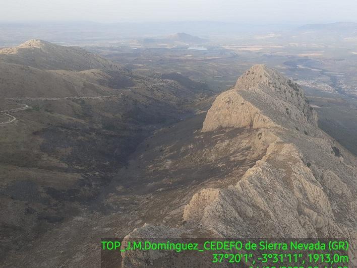 Vista de la superficie afectada, en el paraje Cañada Larga.