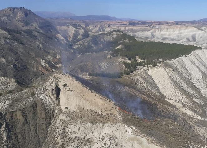 El incendio de Alicún de Ortega afectó a media hectárea de masa forestal.