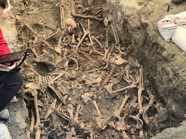Restos de víctimas del franquismo en la última fosa que excava el equipo del profesor Carrión.
