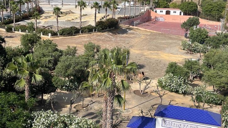 Los olivos, ya trasplantados, en la parte inferior de la imagen.
