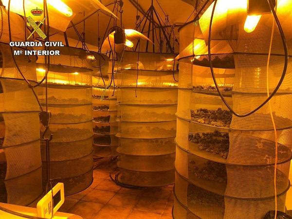 La vivienda donde se cultivaba la droga tenía 7 aparatos de aire acondicionado junto al patio escolar. La vivienda donde se cultivaba la droga tenía 7 aparatos de aire acondicionado junto al patio escolar.
