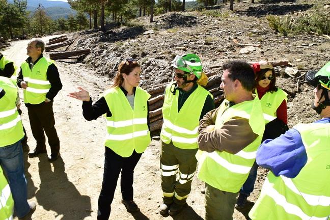 El objetivo es evitar la rápida propagación de los fuegos El objetivo es evitar la rápida propagación de los fuegos.