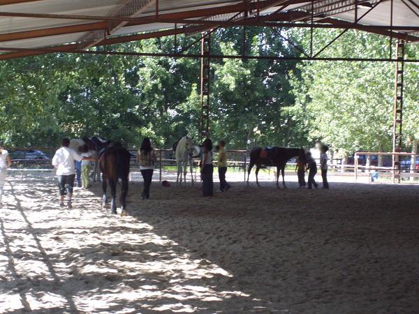 Actividad con caballos realizada con hijos e hijas de víctimas de violencia de género financiada por el Ayuntamiento de Granada.