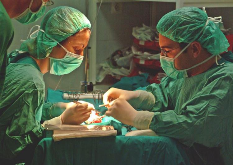 Una de las operaciones de trasplante realizadas en Andalucía.