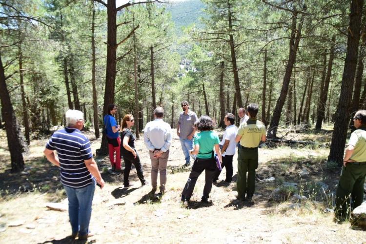 Visita a los trabajos en un bosque de Jérez del Marquesado.