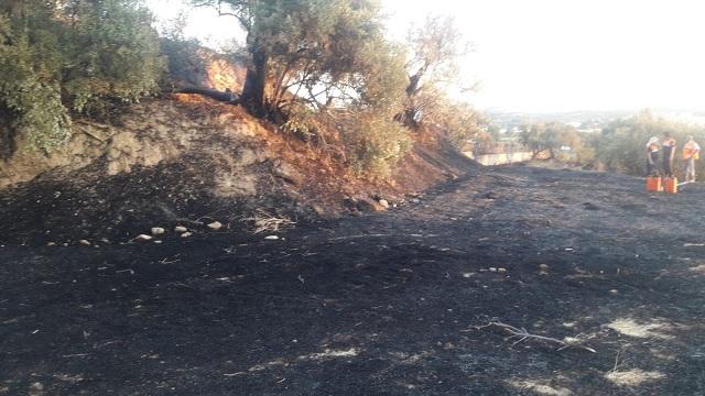 Zona afectada por el incendio. 