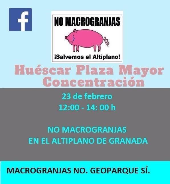 Cartel de la concentración Cartel de la concentración.