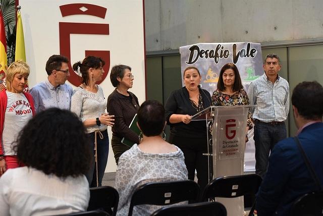 Presentación del Desafío Vale.