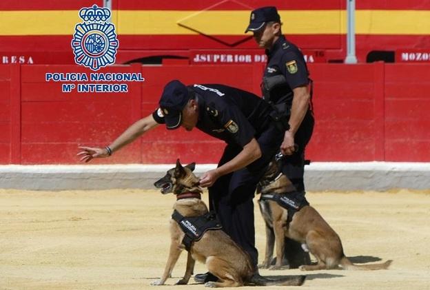 Perros policía, durante la exhibición. 