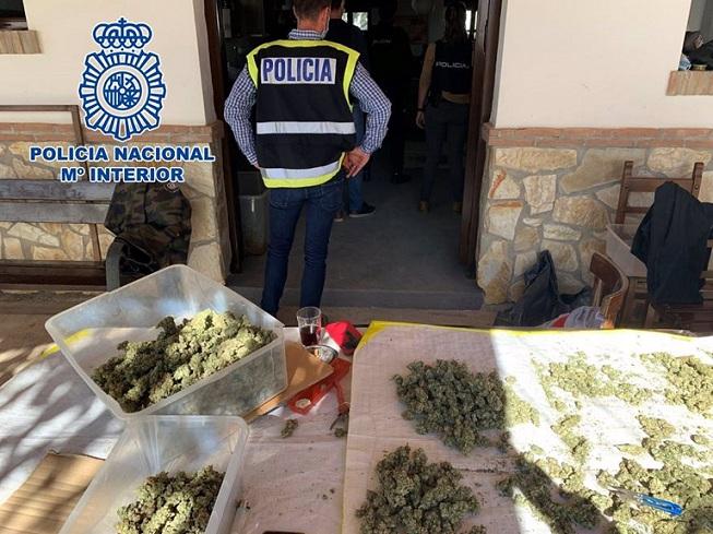 Finca donde se procesaba la marihuana a gran escala. 