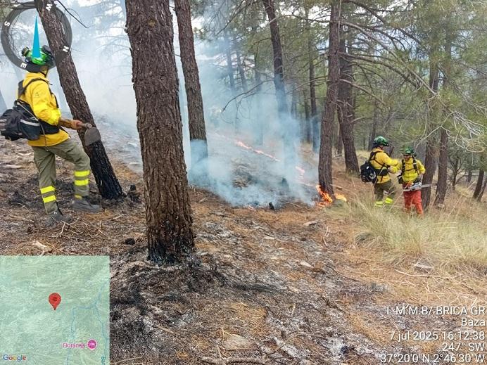 Bomberos forestales, durante la extinción del fuego en Baza.