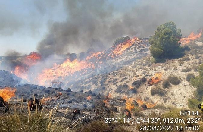 Llamas del incendio en Cortes de Baza. 