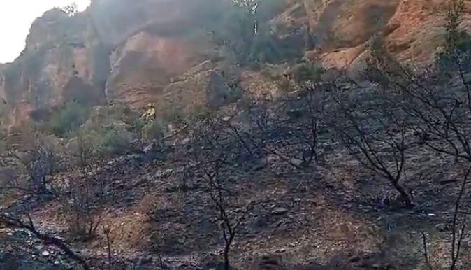 Parte de la zona quemada por el incendio. 