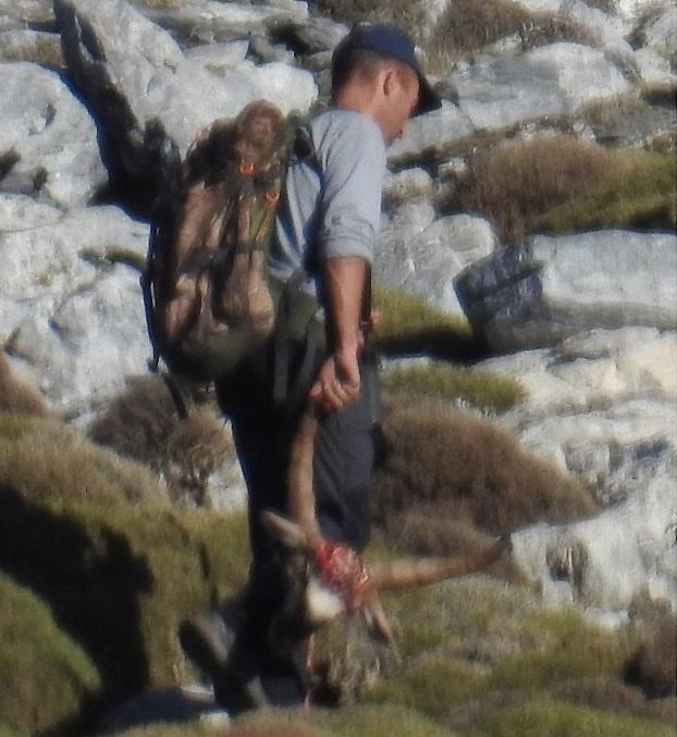 El cazador lleva la cabeza de un macho montés. 