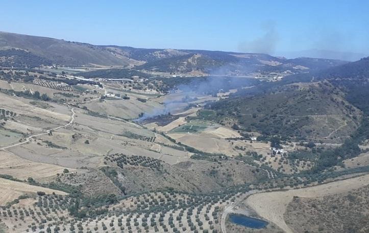 Imagen del humo originado por el incendio en el término de Alhama. 