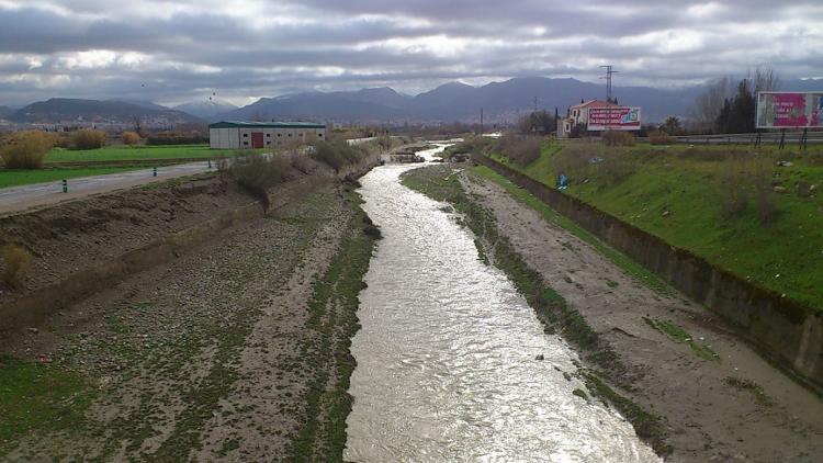 Río Genil a su paso por la Vega de Granada. 
