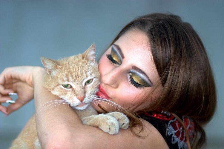 Las mujeres son titulares de la gran mayoría de los gatos.