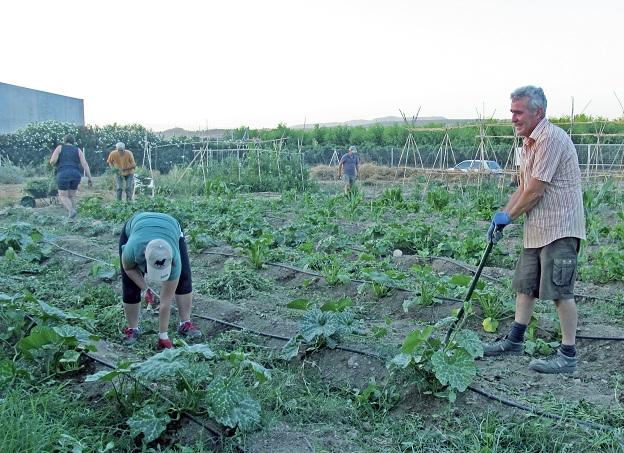 Participantes de la Escuela de Agroecología, en uno de los huertos.