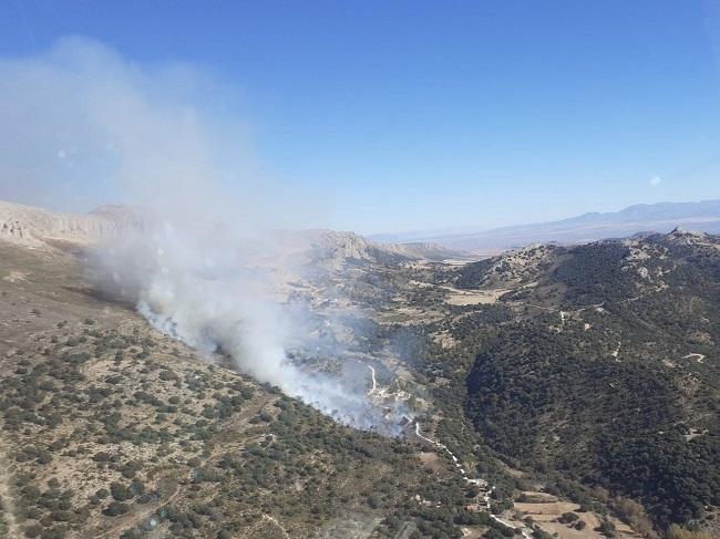 Imagen aérea de la zona del incendio.