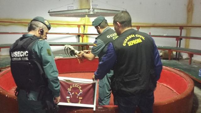 Agentes cogen uno de los gallos en el local. 