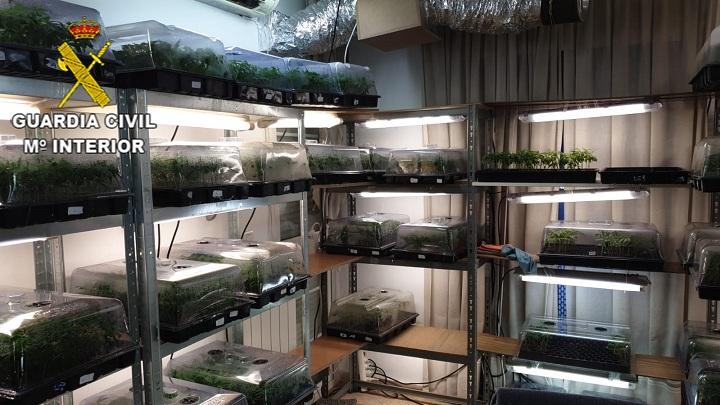 Una de las habitaciones donde se cultivaban los plantones de marihuana. 