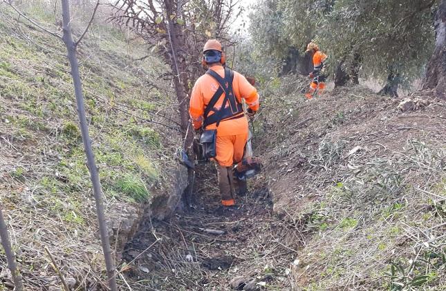 Tareas de limpieza en la acequia del Abaricoque. 