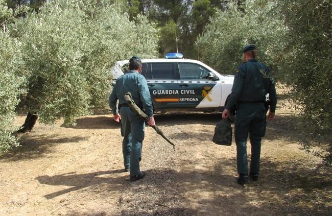 Los agentes del Seprona intervienen el arma al cazador furtivo. 