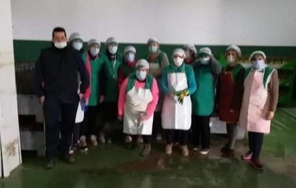 Personal de la cooperativa de espárragos, con sus mascarillas Personal de la cooperativa de espárragos, con sus mascarillas.